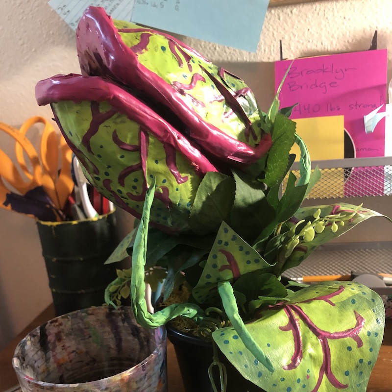 A carnivourus plant pod in a pot, surrounded by leaves and vines. Picture links to project page.